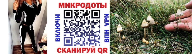Галлюциногенные грибы MAGIC MUSHROOMS Балахна